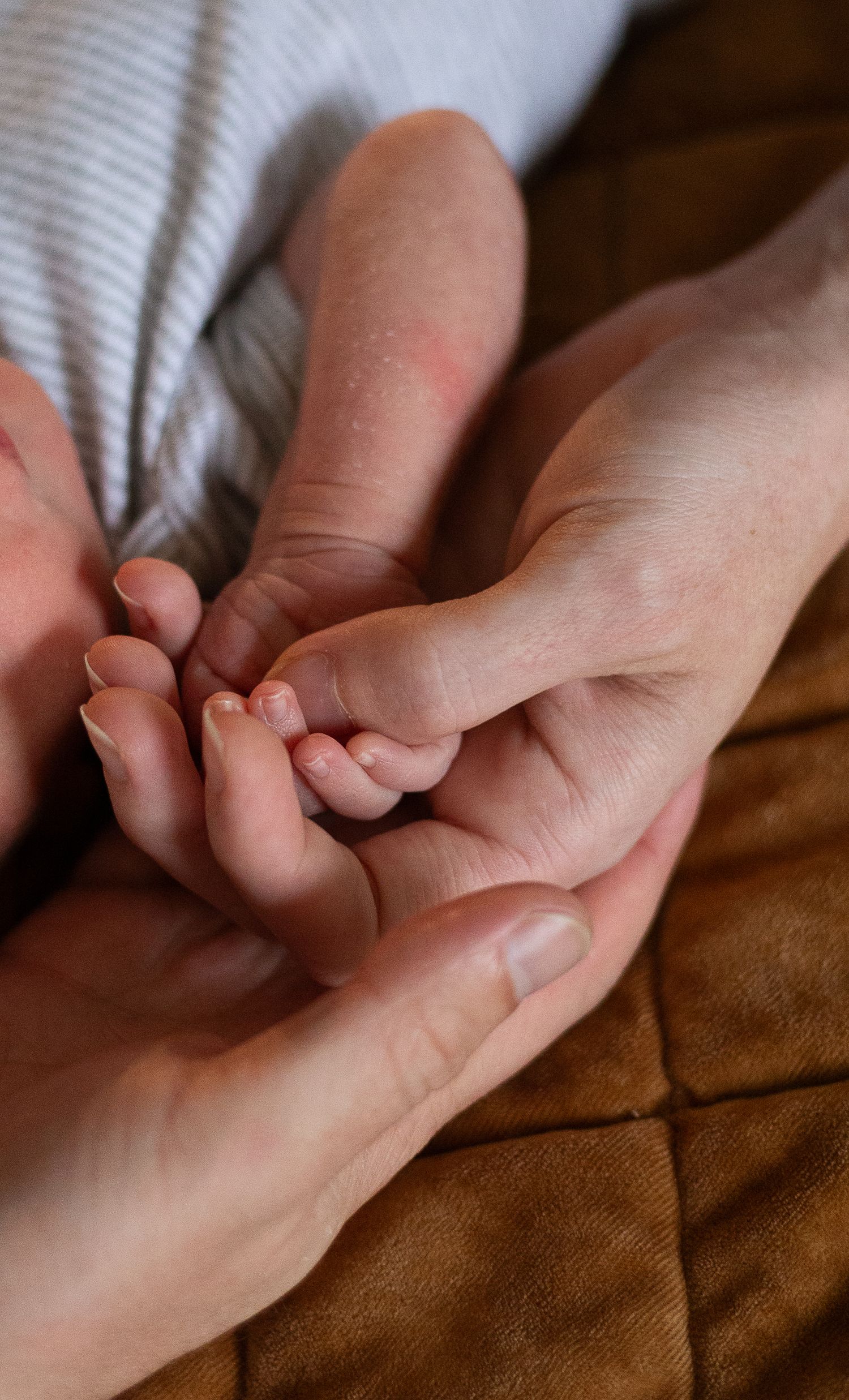 Close-up of adult hands gently holding tiny newborn fingers in warm lighting.