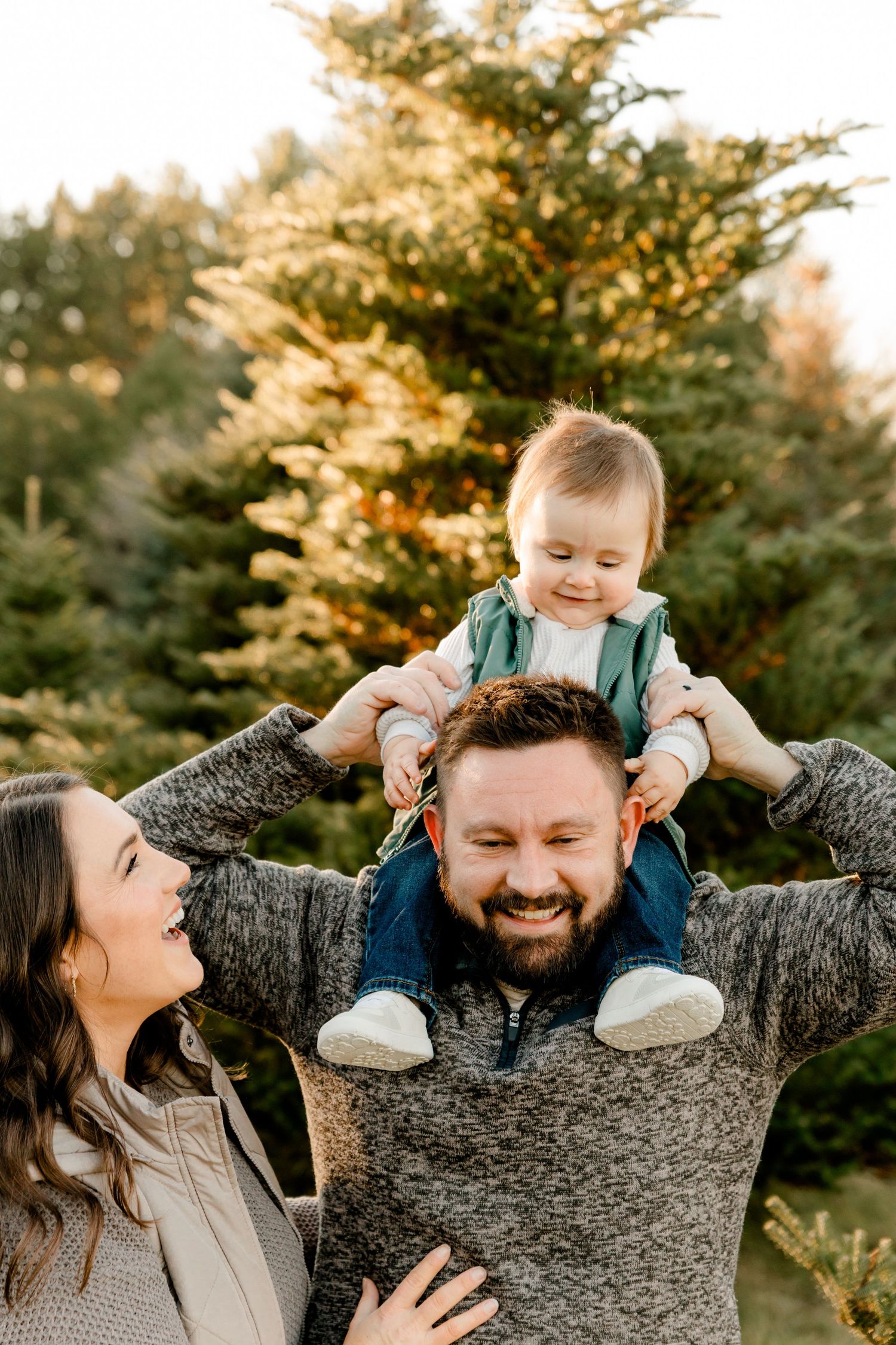 Happy family with baby sitting on fathers shoulders at a Christmas tree farm during golden hour.