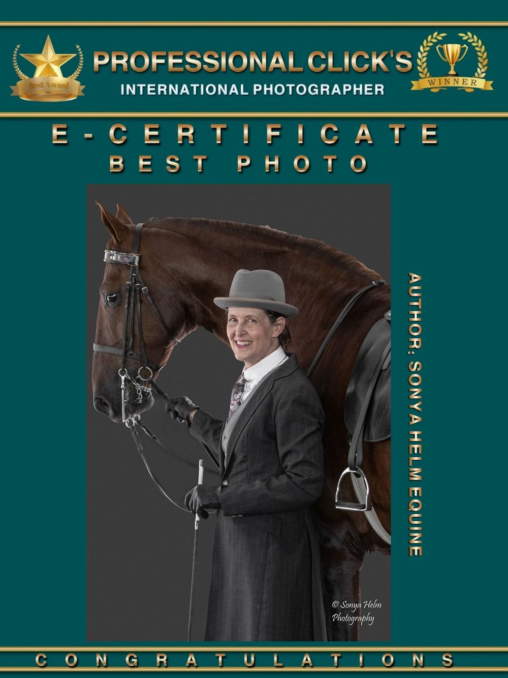 Professional photography certificate featuring a vintage-style equestrian portrait.