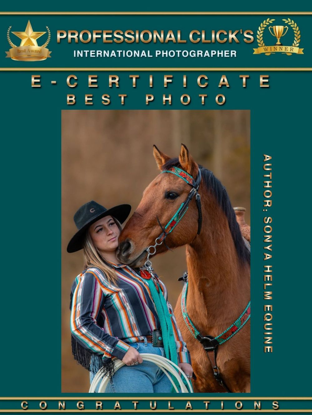 Professional photography certificate showing western-style equestrian portrait.