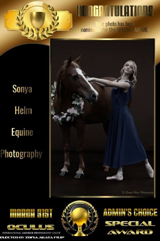 Artistic equine photography award featuring a dancer in blue dress posing with a dark horse.