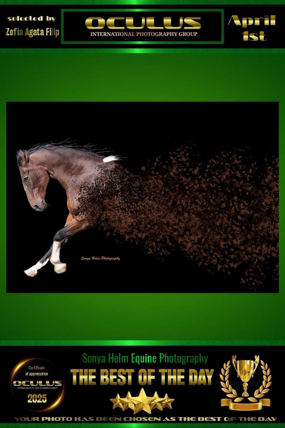 Artistic photo of brown horse dissolving into particles against black background with green border.