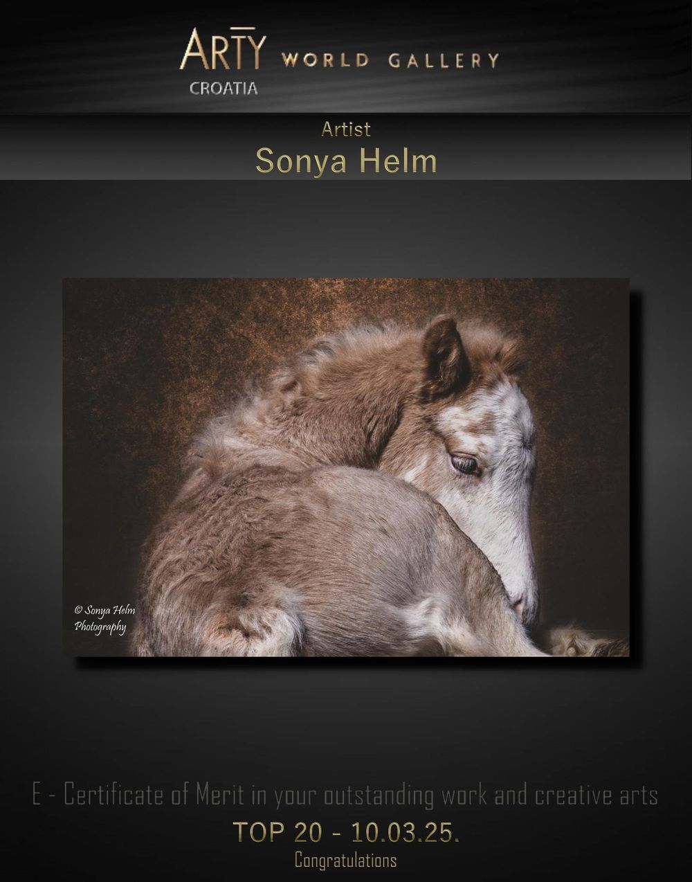 Arty World Gallery Croatia certificate of merit for artist Sonya Helm featuring a fine art photo of a foal, TOP 20 March 2025.