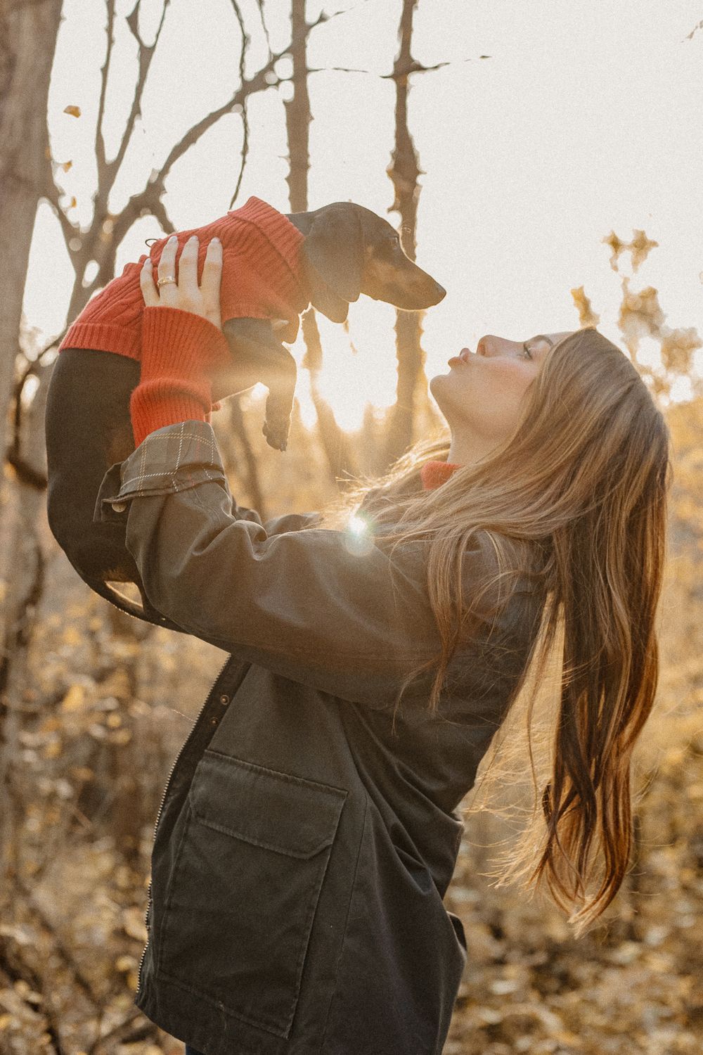 Person lifting dachshund wearing red sweater against sunset through trees.