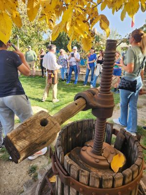 Visitors gathered around a vintage wooden wine press in a vineyard garden during an autumn harvest tour.