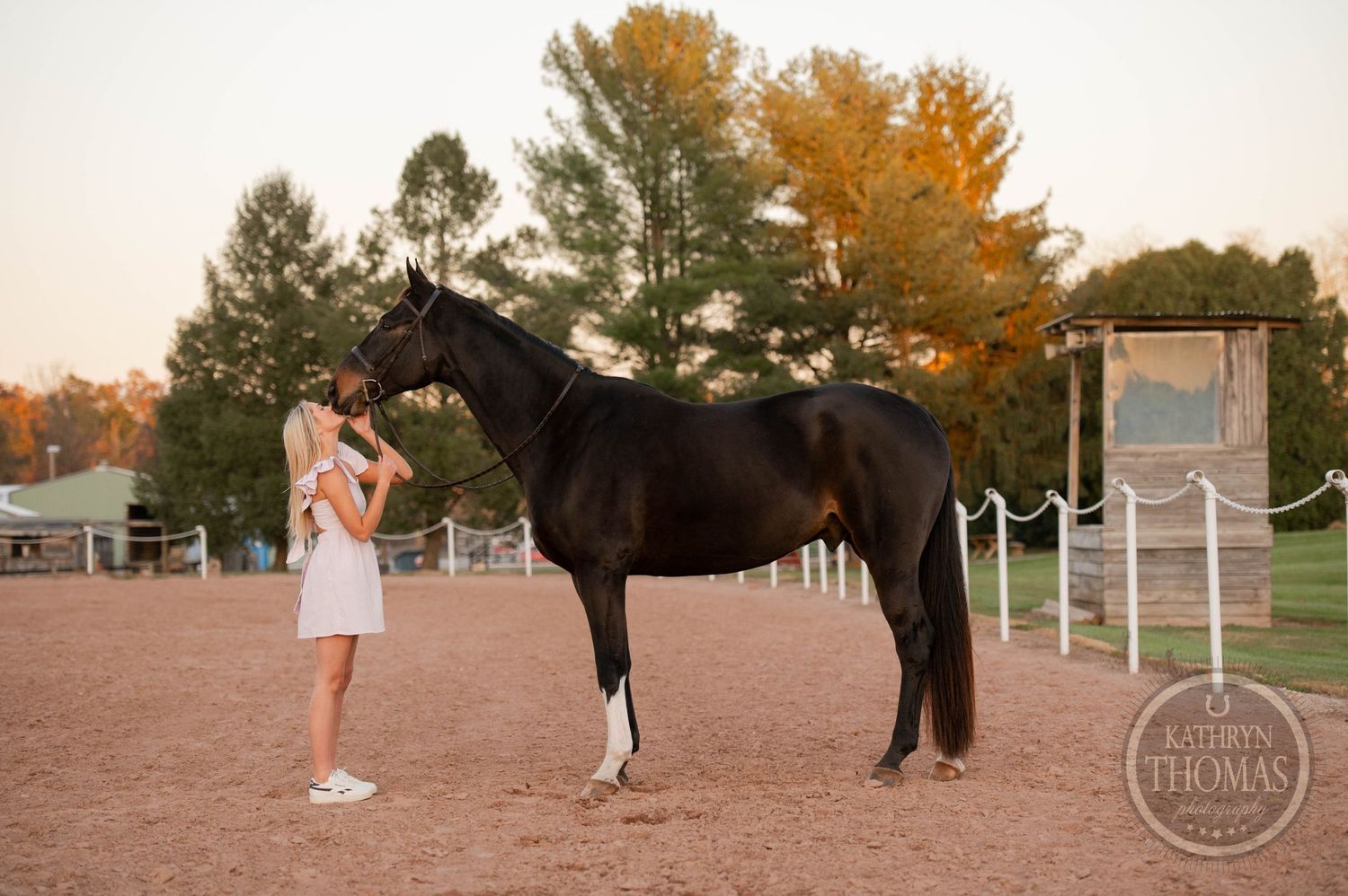 A black horse stands in an outdoor arena as someone in white interacts with it at sunset.