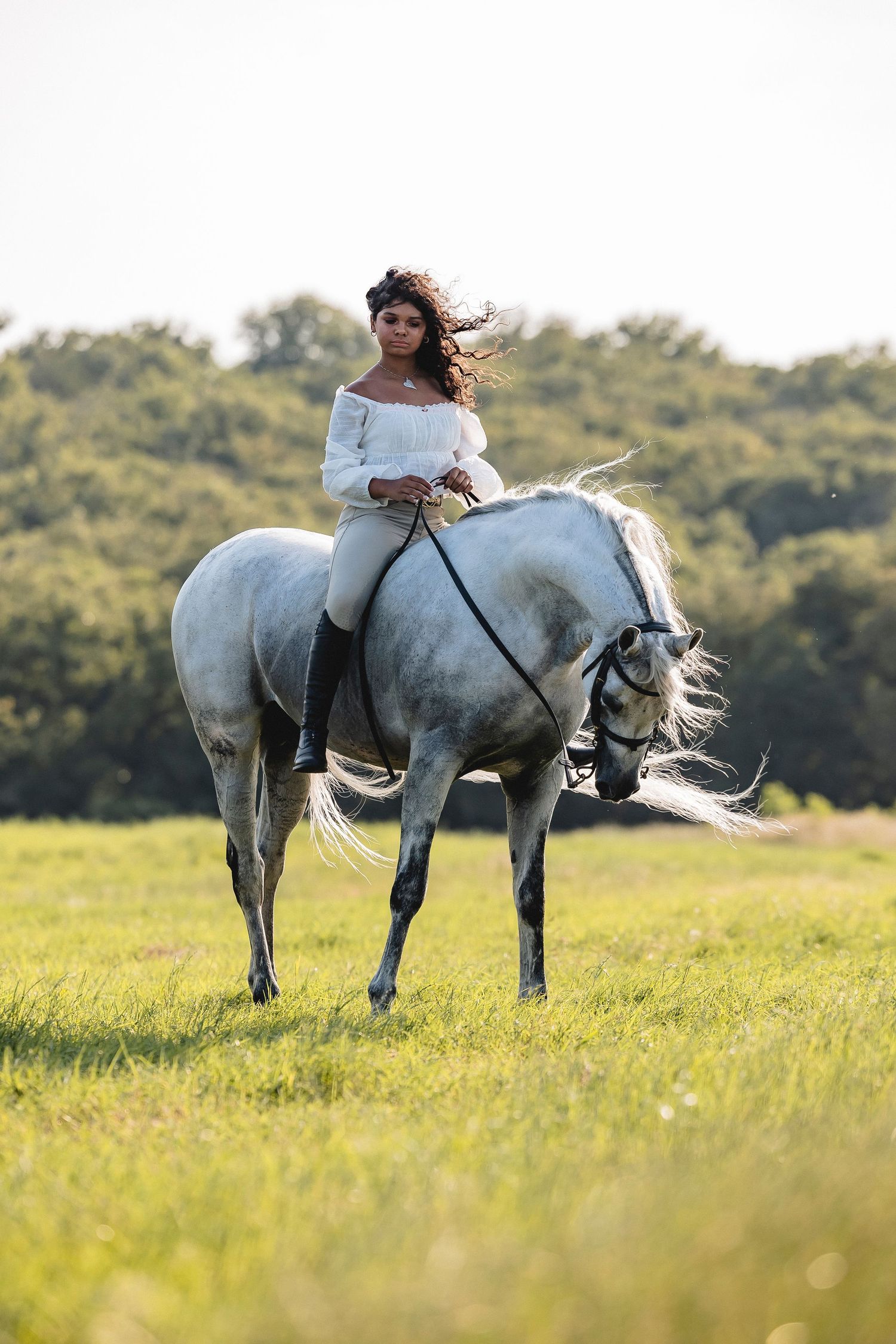 Senior pictures with horse