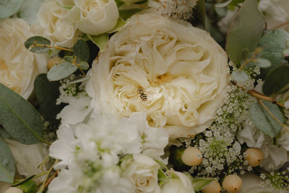 Close-up detail of white garden roses and delicate foliage in a wedding bouquet arrangement.