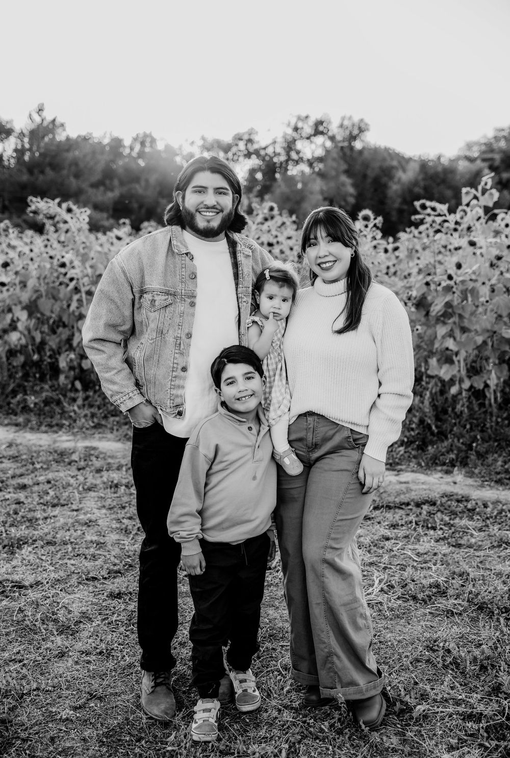 Black and white candid family photo session in a sunflower field during golden hour.