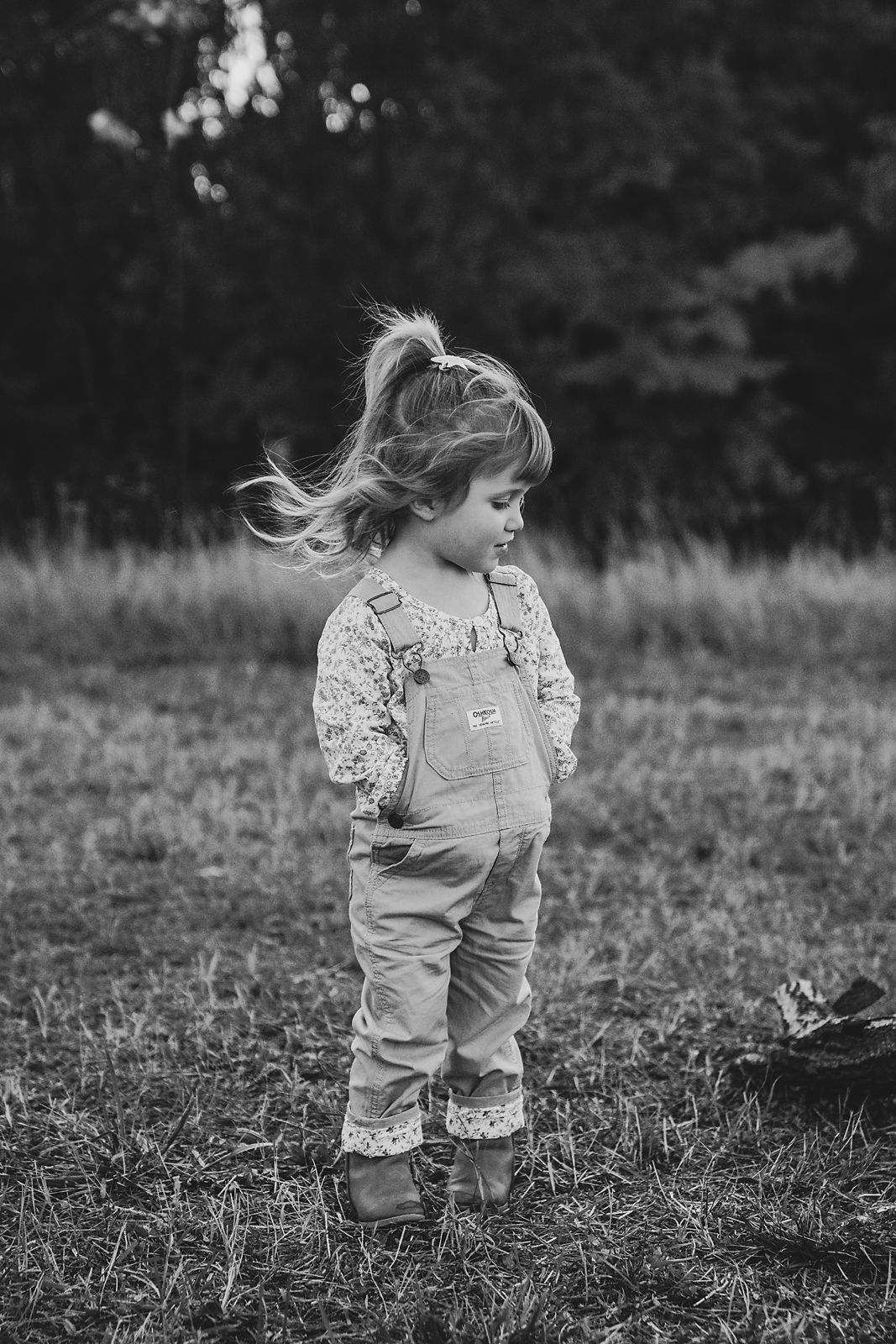 toddler, fall, lifestyle, Michigan