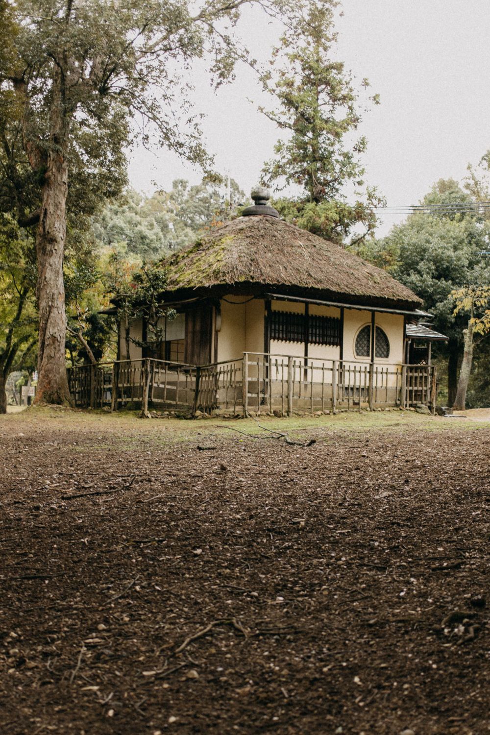 Traditional Japanese tea house with thatched roof surrounded by trees.