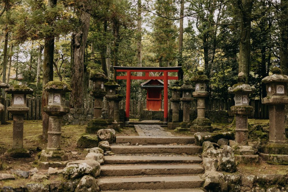 Stone steps lead to a red torii gate surrounded by traditional lanterns in a misty Japanese forest.