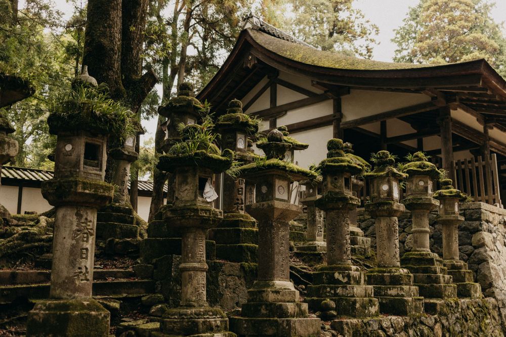 Rows of traditional stone lanterns line the path to a Japanese temple building covered in moss.