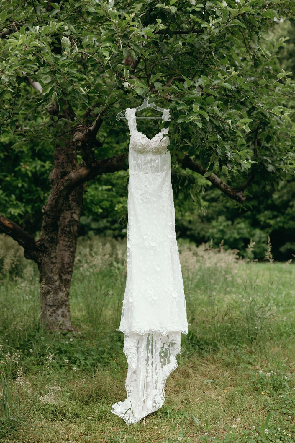 Elegant white lace wedding dress hanging from a tree branch in a garden setting. Estate and historic venue wedding photographer for NC