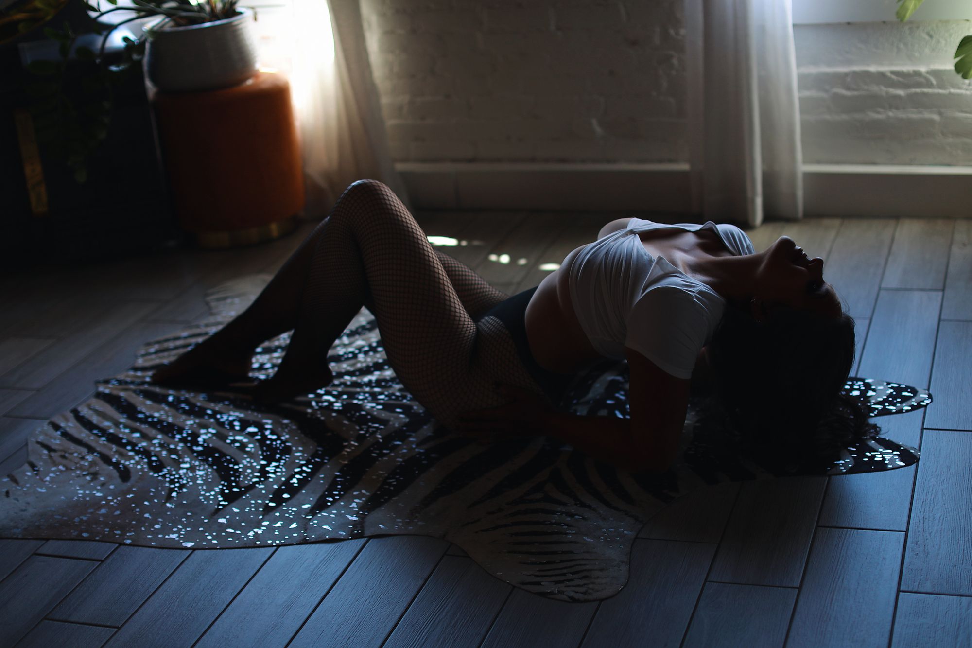 Artistic silhouette photo on hardwood floor with directional lighting.
