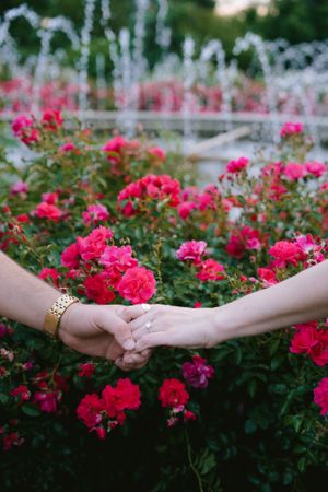 Two hands clasped together showing wedding rings against a backdrop of vibrant pink roses and fountains.