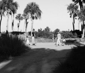Black and white panoramic photo showing palm trees and figures walking along a winding path on a sunny day.
