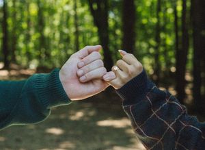 Sequence of hands coming together against a natural forest backdrop.