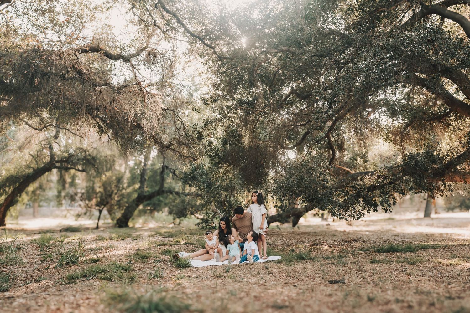 A picnic setup under sprawling oak trees during sunset with people enjoying time outdoors in a rustic setting.