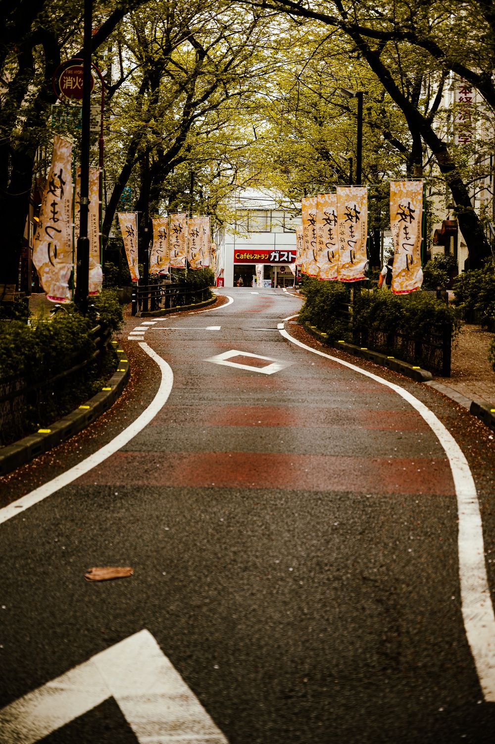 Winding brick pathway through autumn trees on a college campus with yellow foliage overhead.
