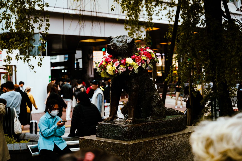 People enjoy an outdoor cafe seating area under trees with string lights creating a cozy ambiance.