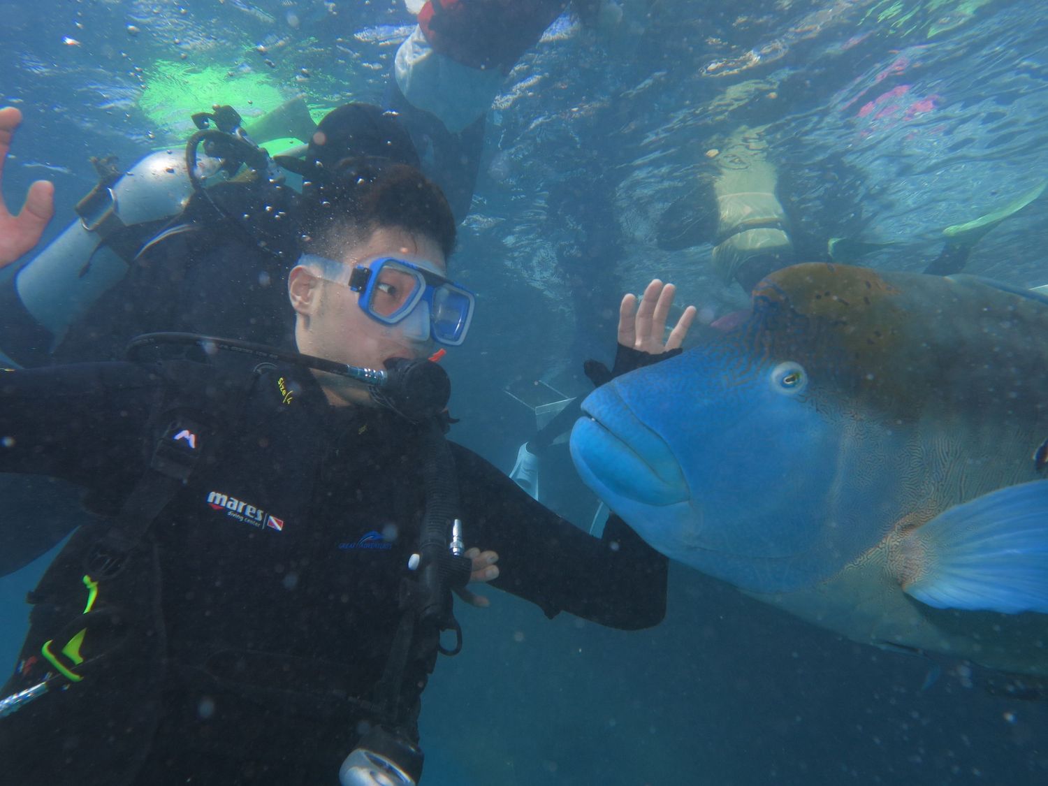 A sequence of underwater snorkelers swimming near tropical reef formations and exploring marine life.