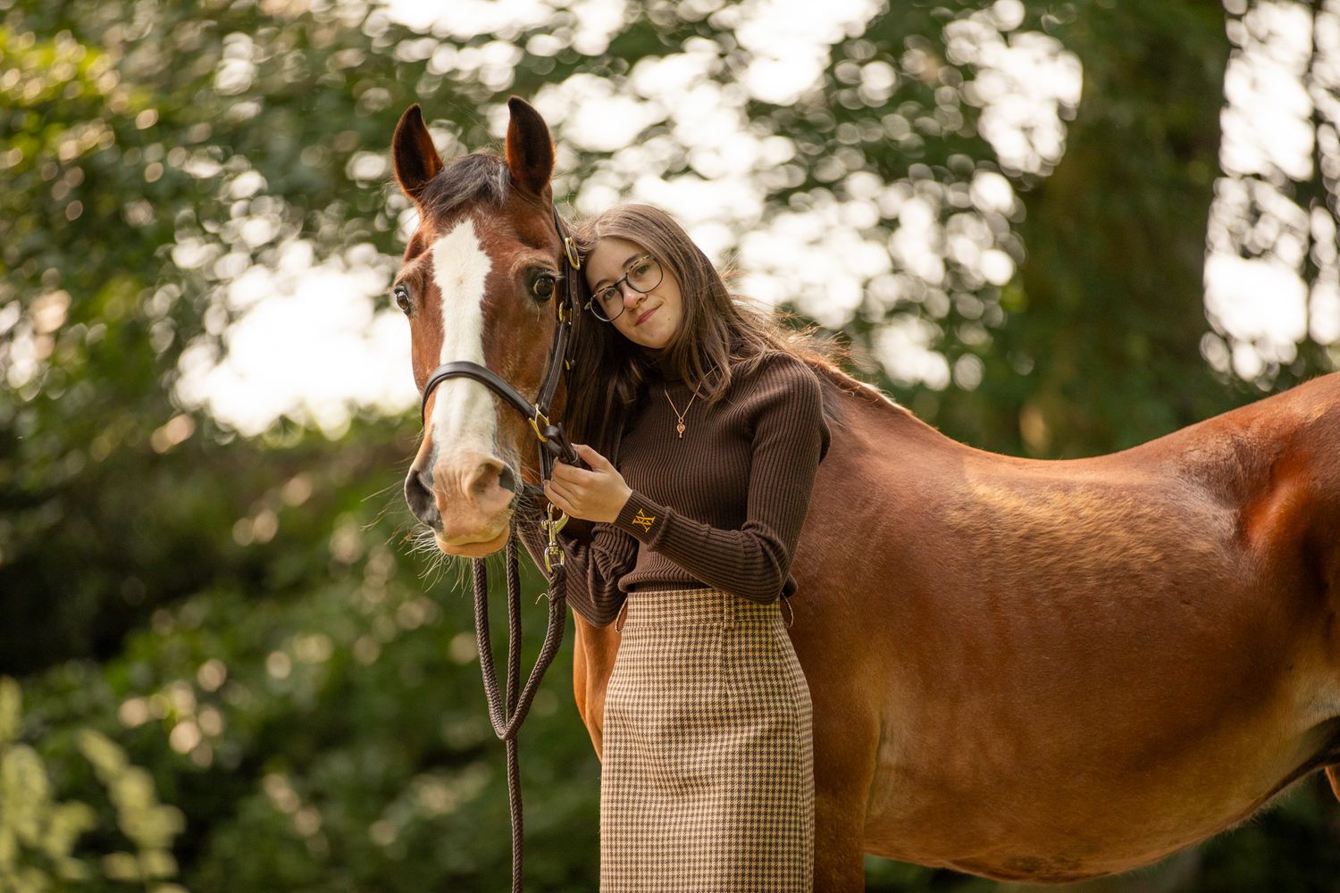 A brown horse in a paddock stretches its neck out while wearing a blue halter and lead rope.