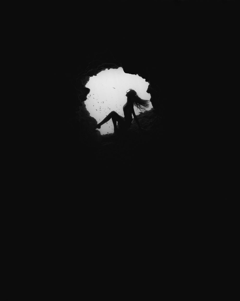A silhouetted figure of a horse and rider against a bright white moon in a dark night sky.