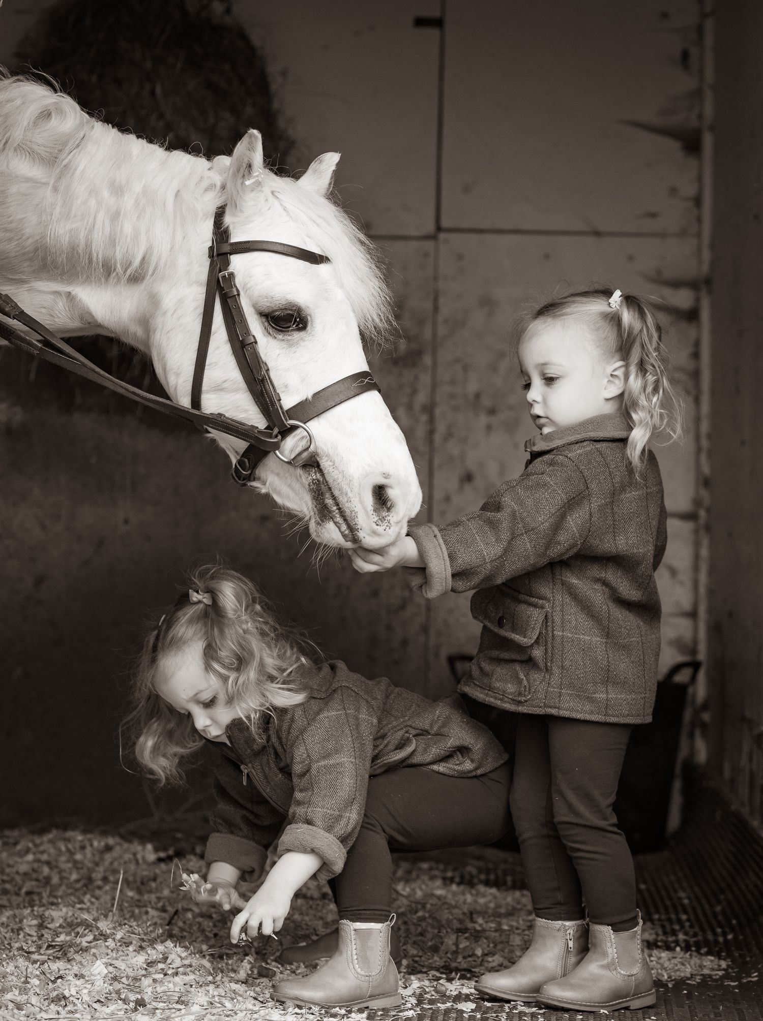 Young equestrian poses with palomino pony in a series of natural outdoor portraits showing their special bond.