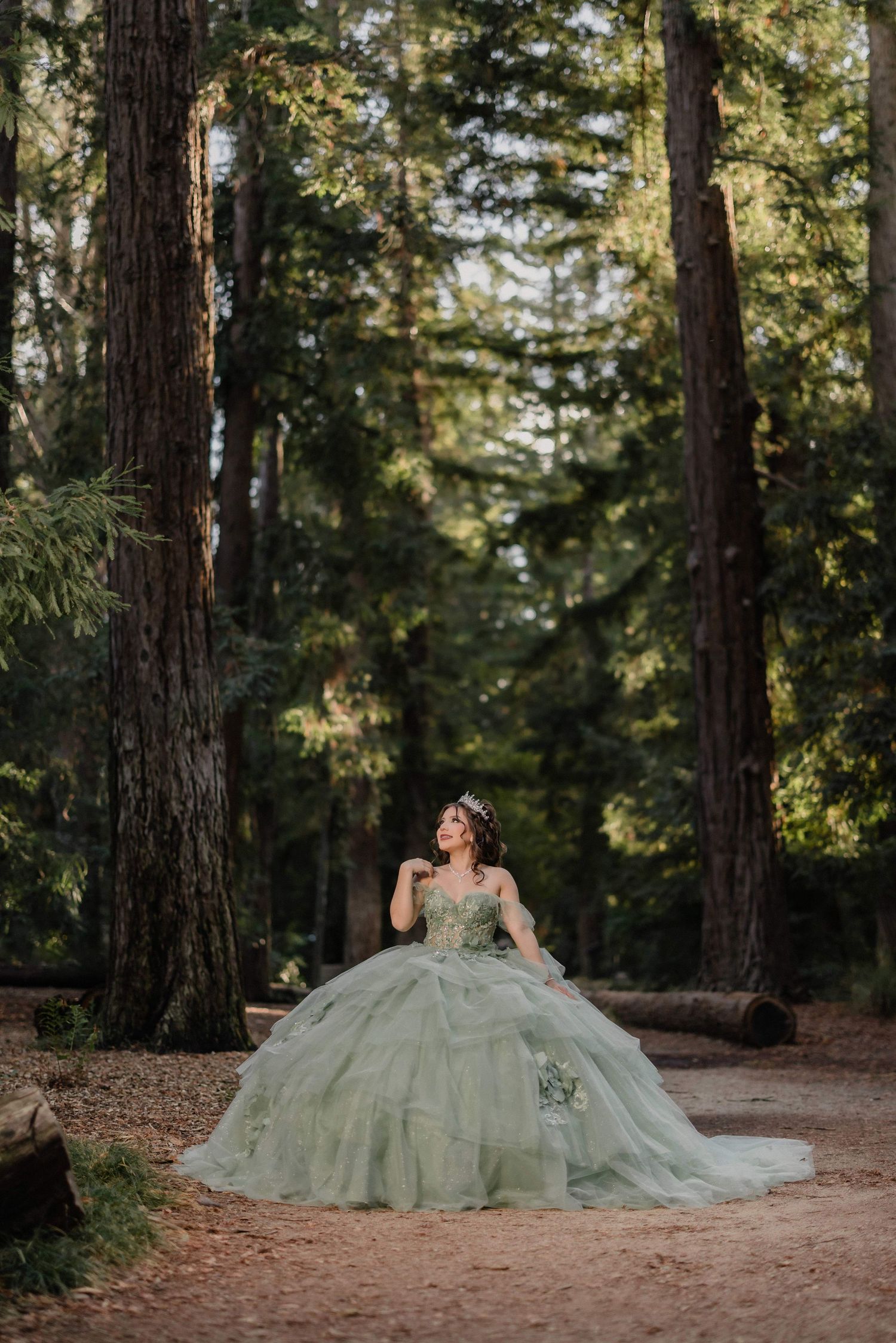 A sage green ballgown with tulle skirt sprawls across forest floor surrounded by towering redwood trees.
