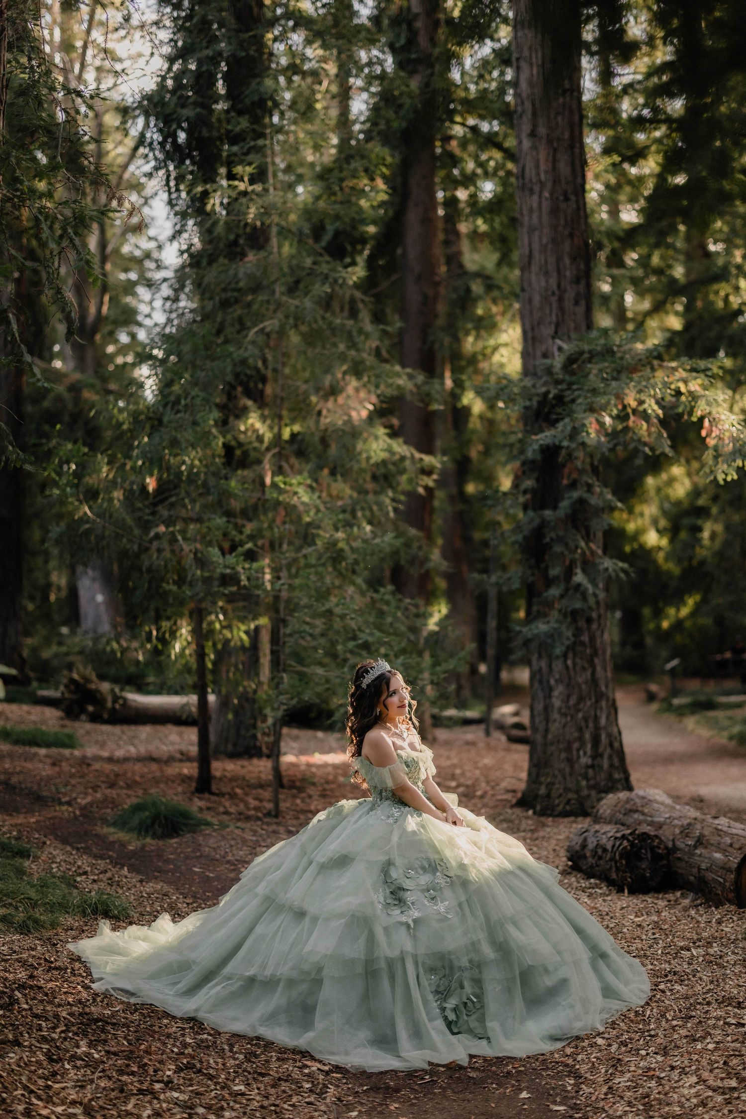 Flowing mint tulle gown creates dramatic silhouette against wooded forest setting during golden hour.
