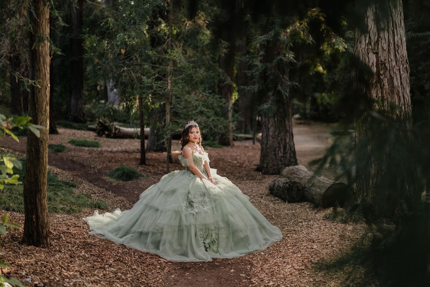 Beautiful bride in sage green gown poses elegantly in a serene redwood forest setting.