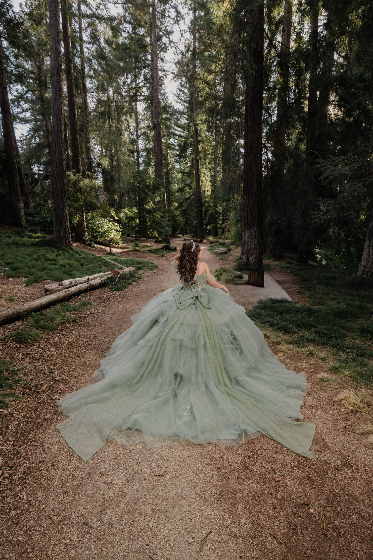 A flowing mint green wedding dress laid out dramatically on a winding forest path surrounded by tall evergreen trees.