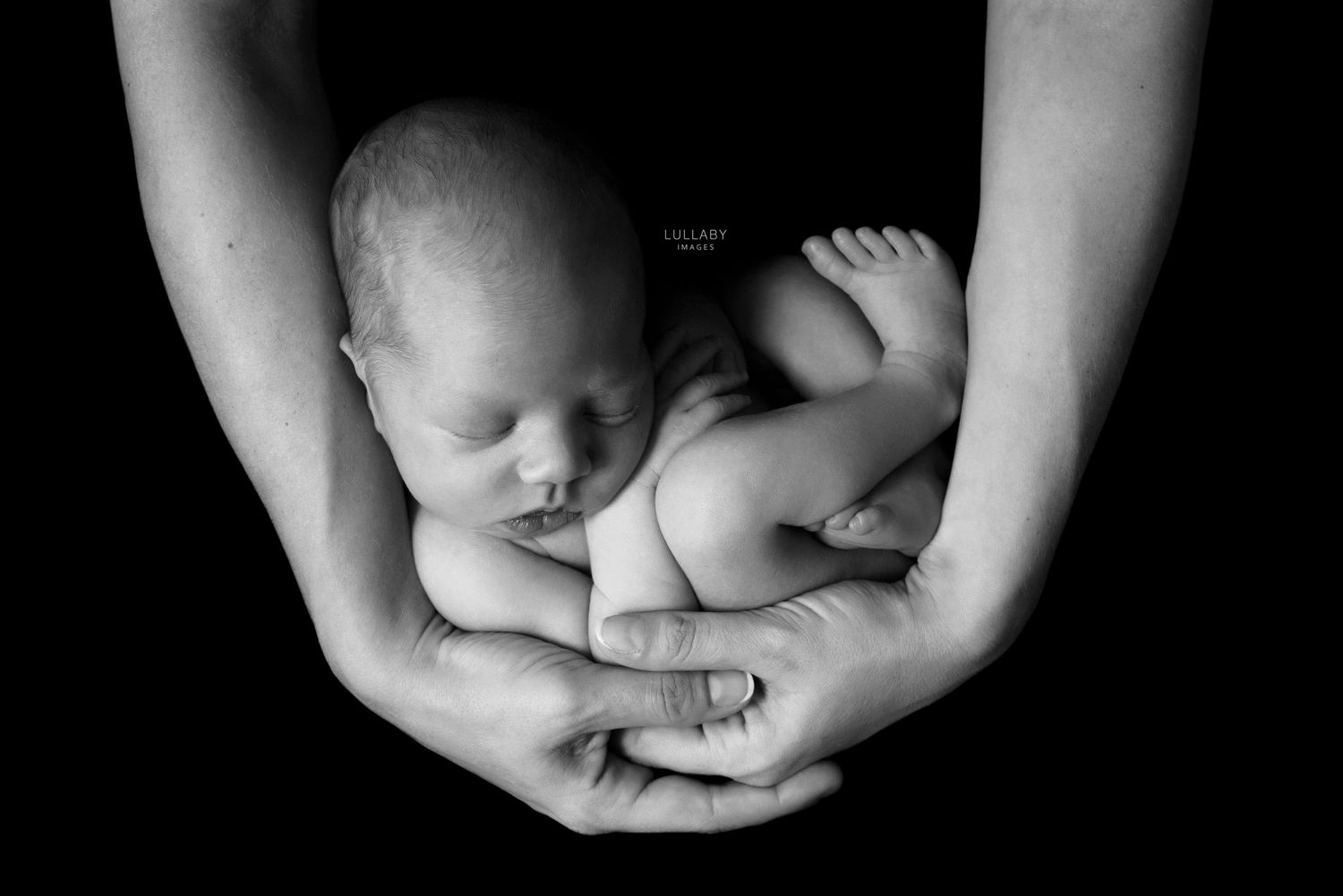 Louise Ng Hong Kong's best baby newborn family photographer Lullaby Images