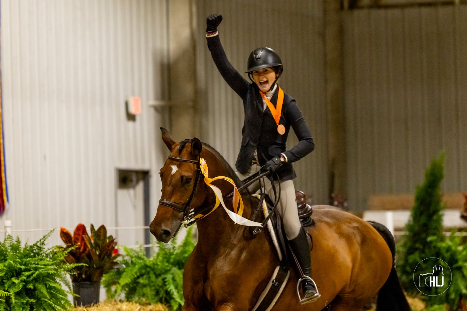 A bay horse and rider perform in an indoor competition arena with decorative plants.