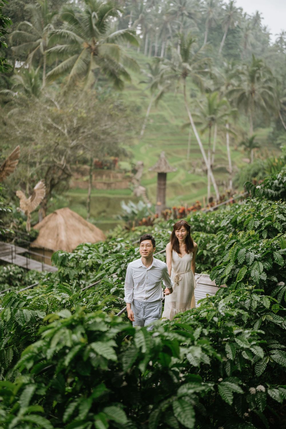 Two people walking through verdant coffee plantations with palm trees in the background.