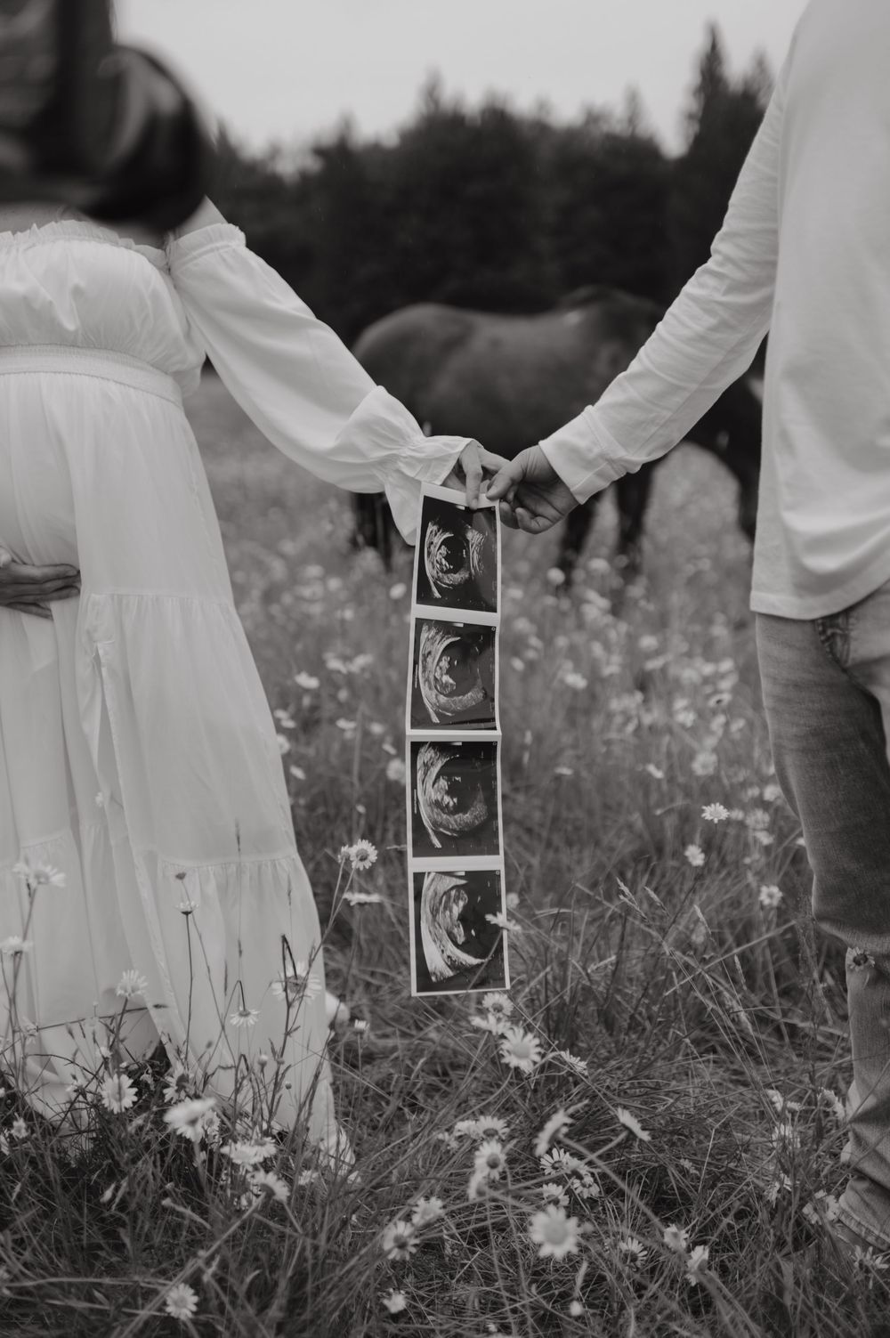 Snohomish Family Photographer Snohomish Maternity Photographer Seattle Maternity Photographer PNW Maternity Photographer