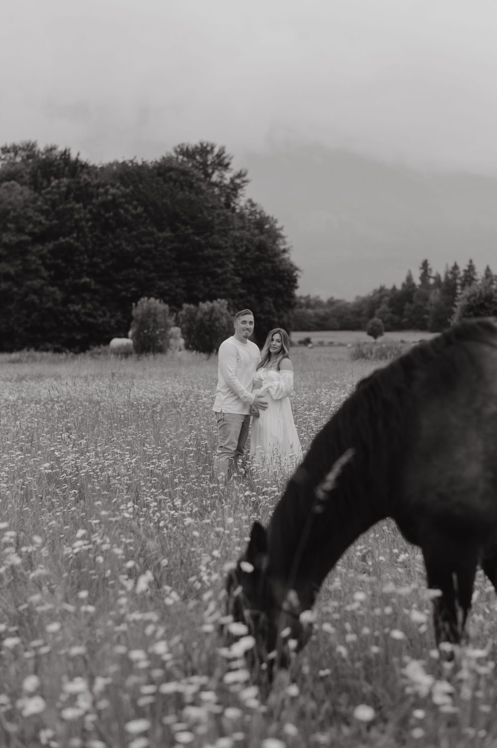 Snohomish Family Photographer Snohomish Maternity Photographer Seattle Maternity Photographer PNW Maternity Photographer