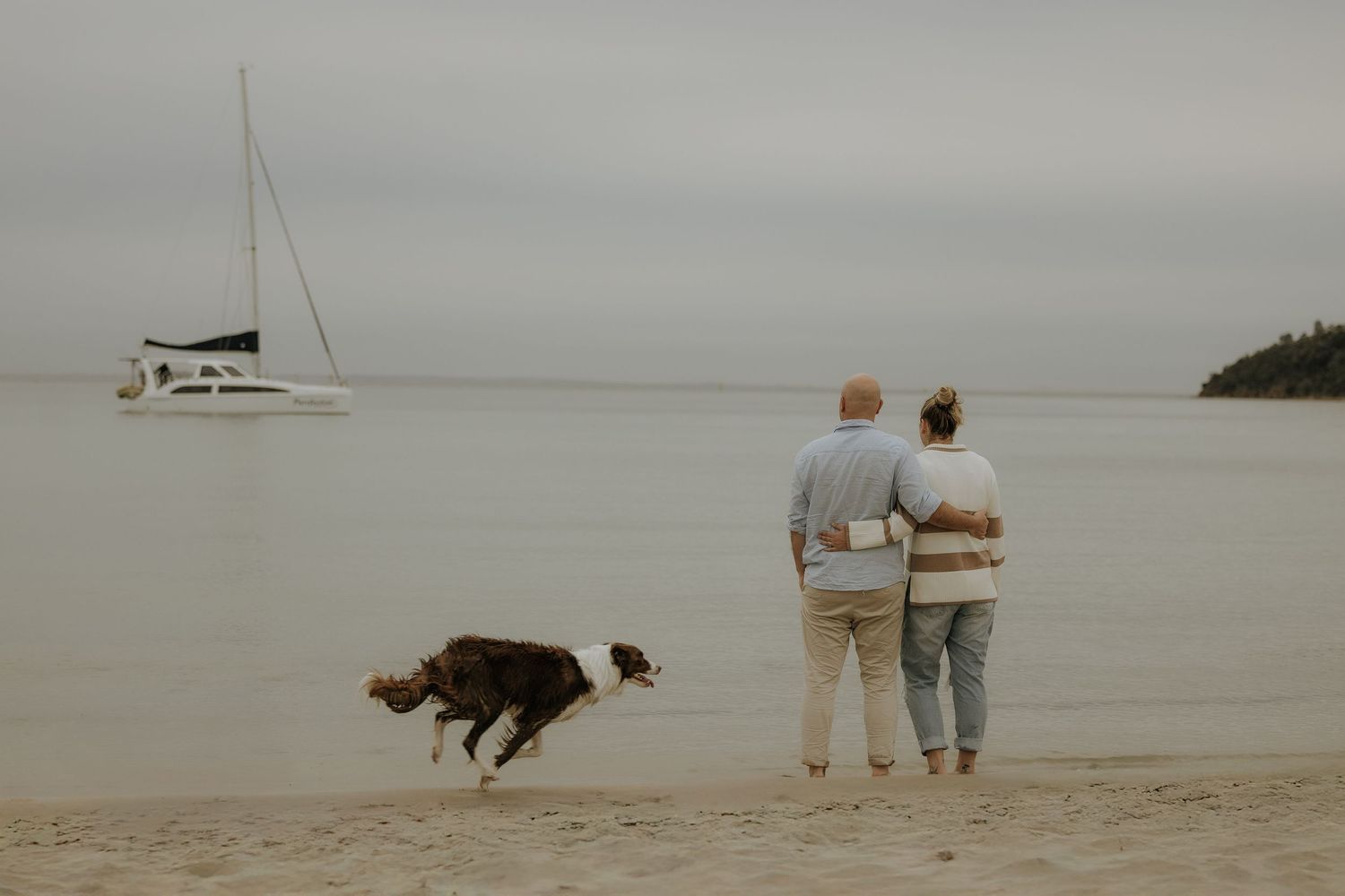 People and dogs enjoying a peaceful evening walk along a misty beach shoreline.