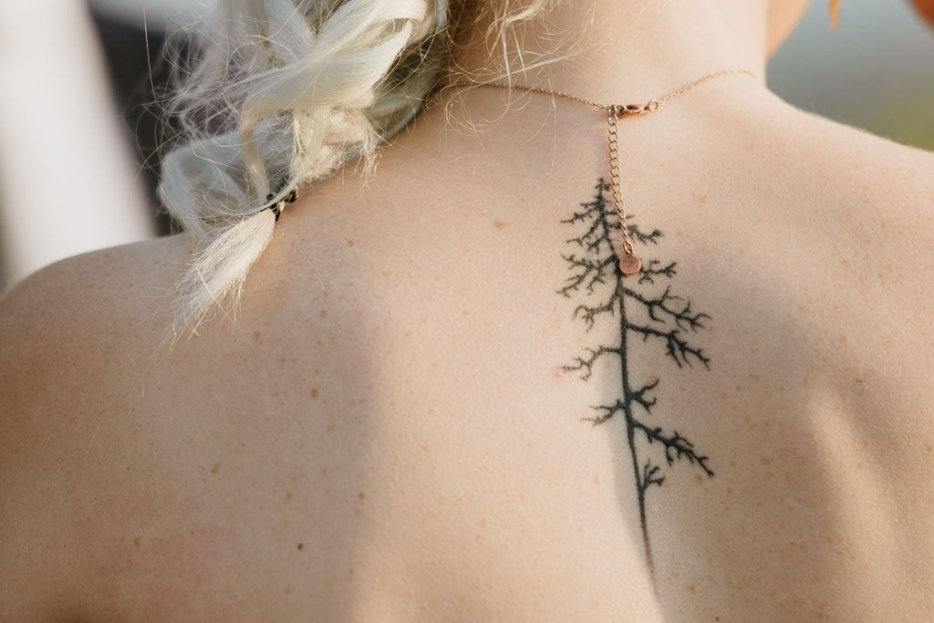 Delicate pine tree branch tattoo on upper back shoulder.