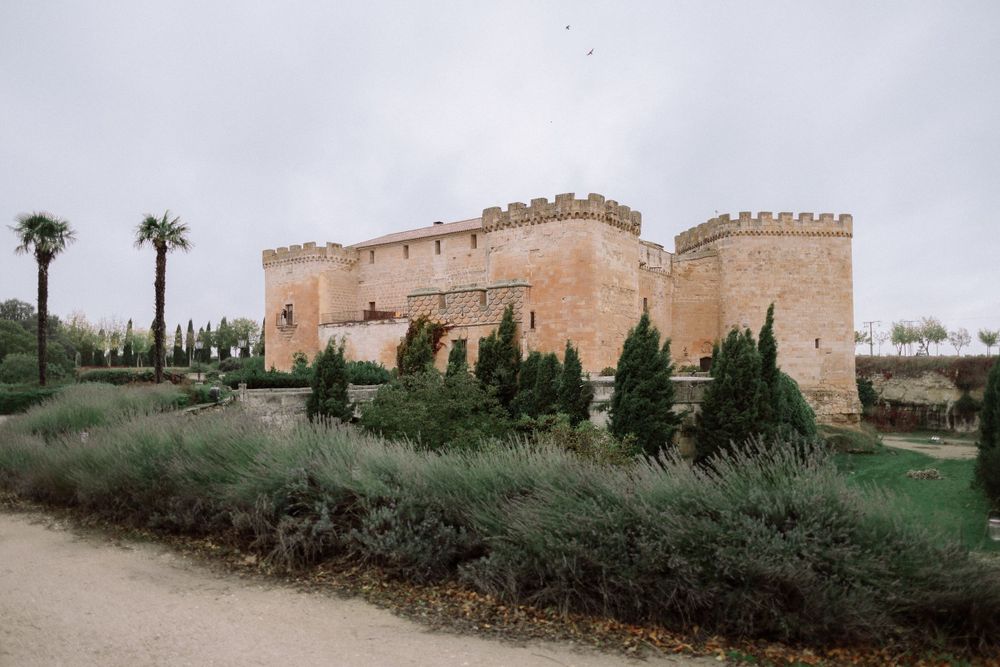 Historic stone castle with crenellated walls and palm trees sits on a hill surrounded by cypress trees and greenery.