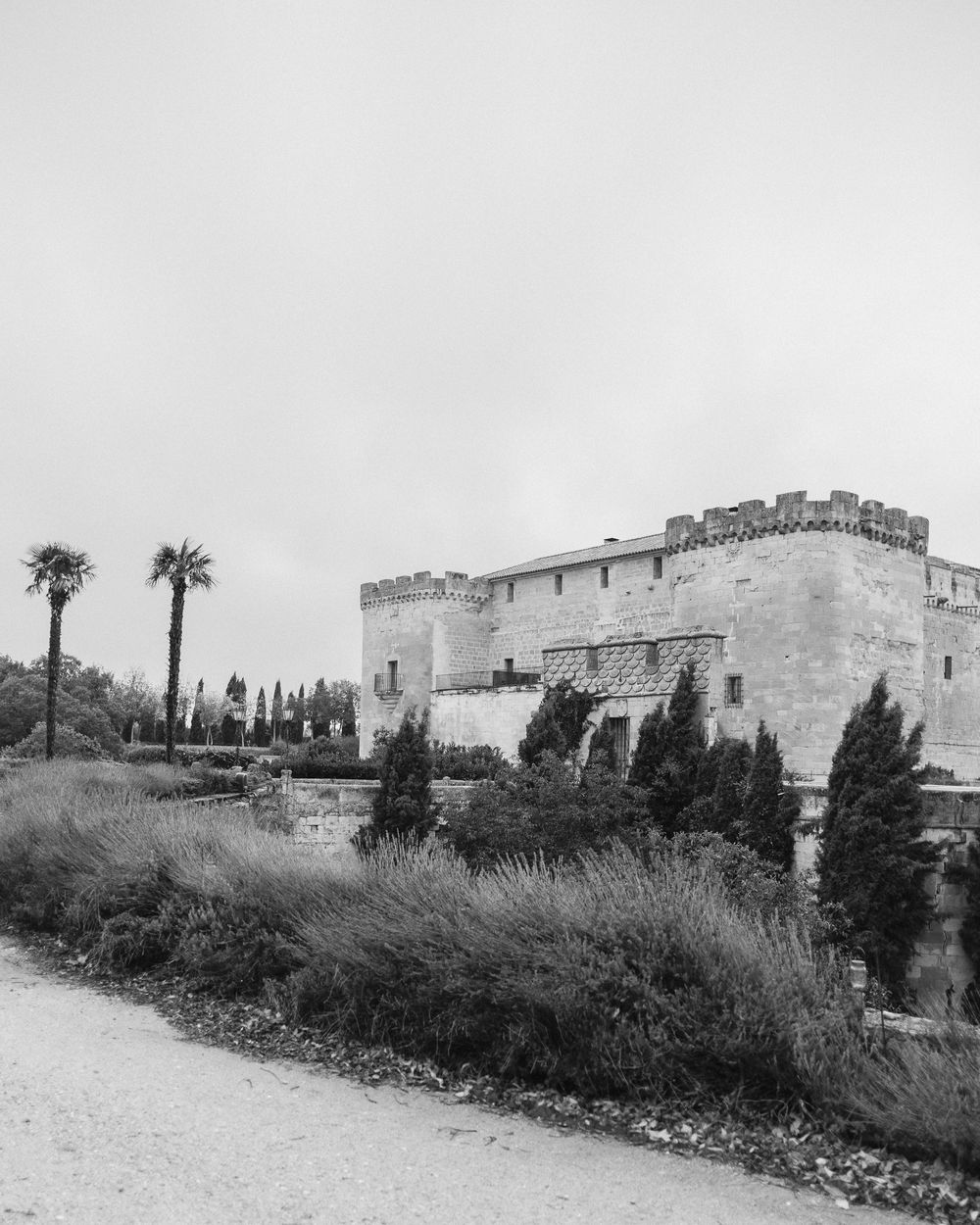 Black and white photograph of a historic stone fortress with palm trees and cypress trees in the Mediterranean landscape.