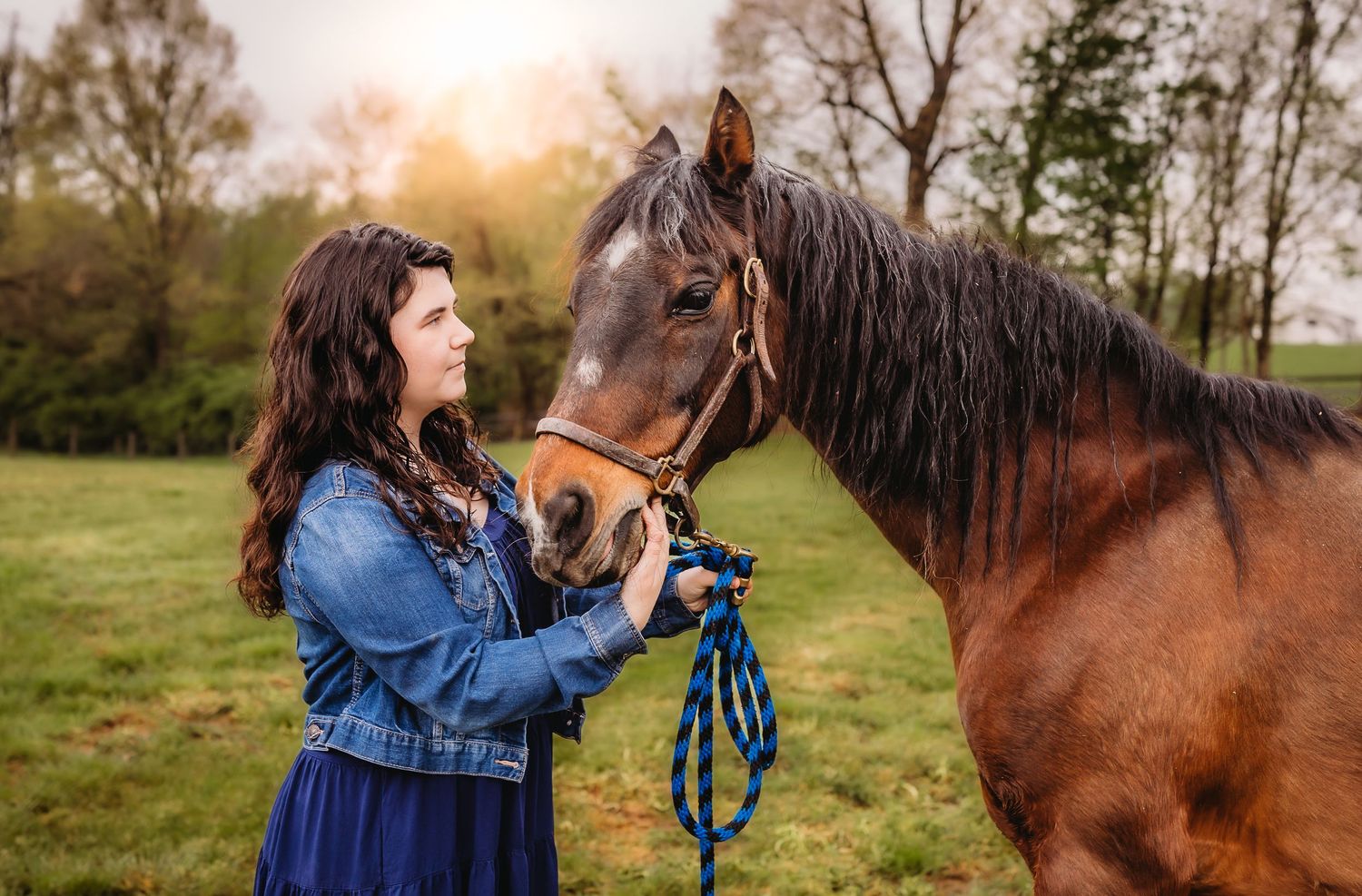 A girl in a blue dress shares a tender moment with a dark brown horse in a sunlit meadow.