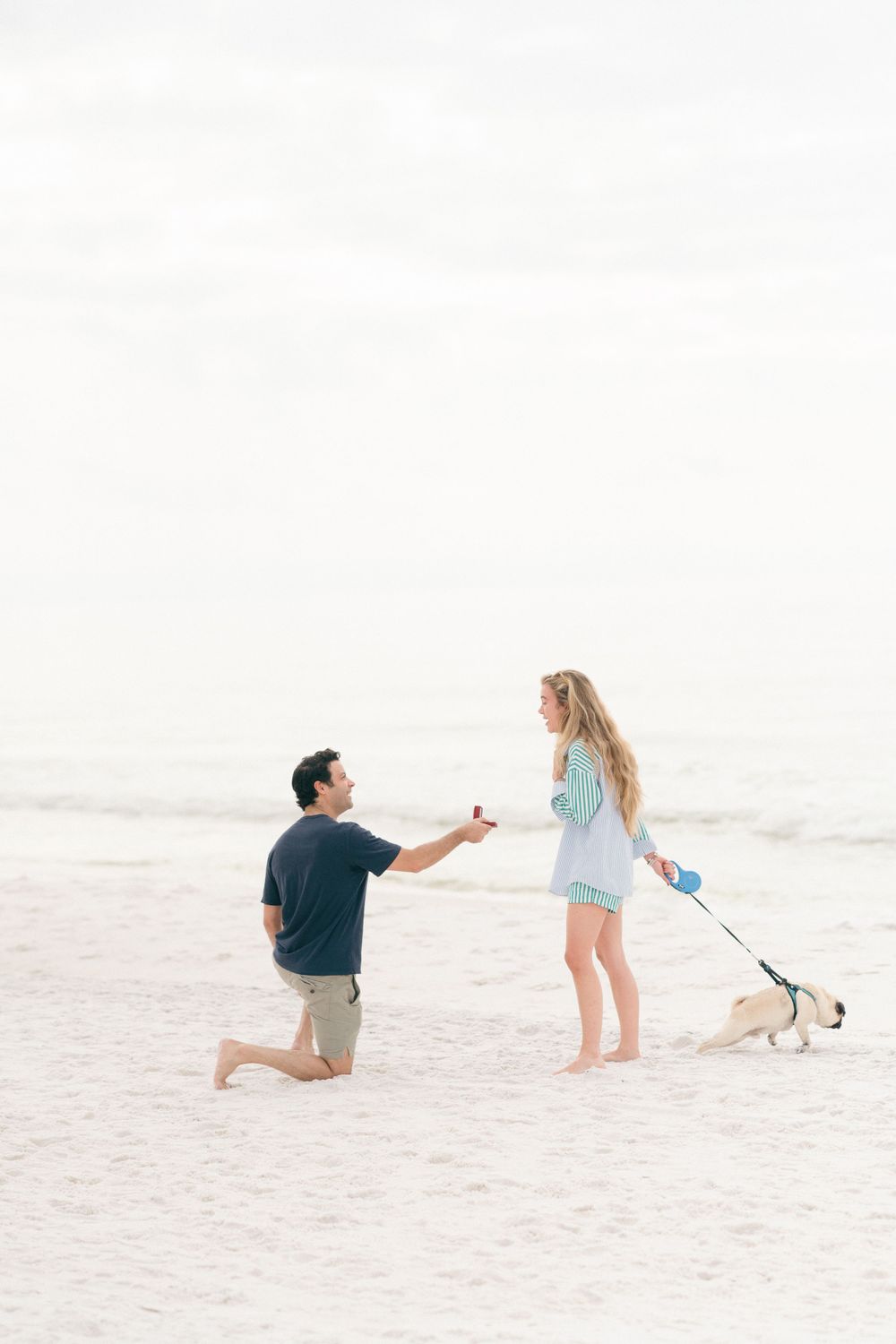 A heartfelt marriage proposal moment on a sunny beach with a small dog present.
