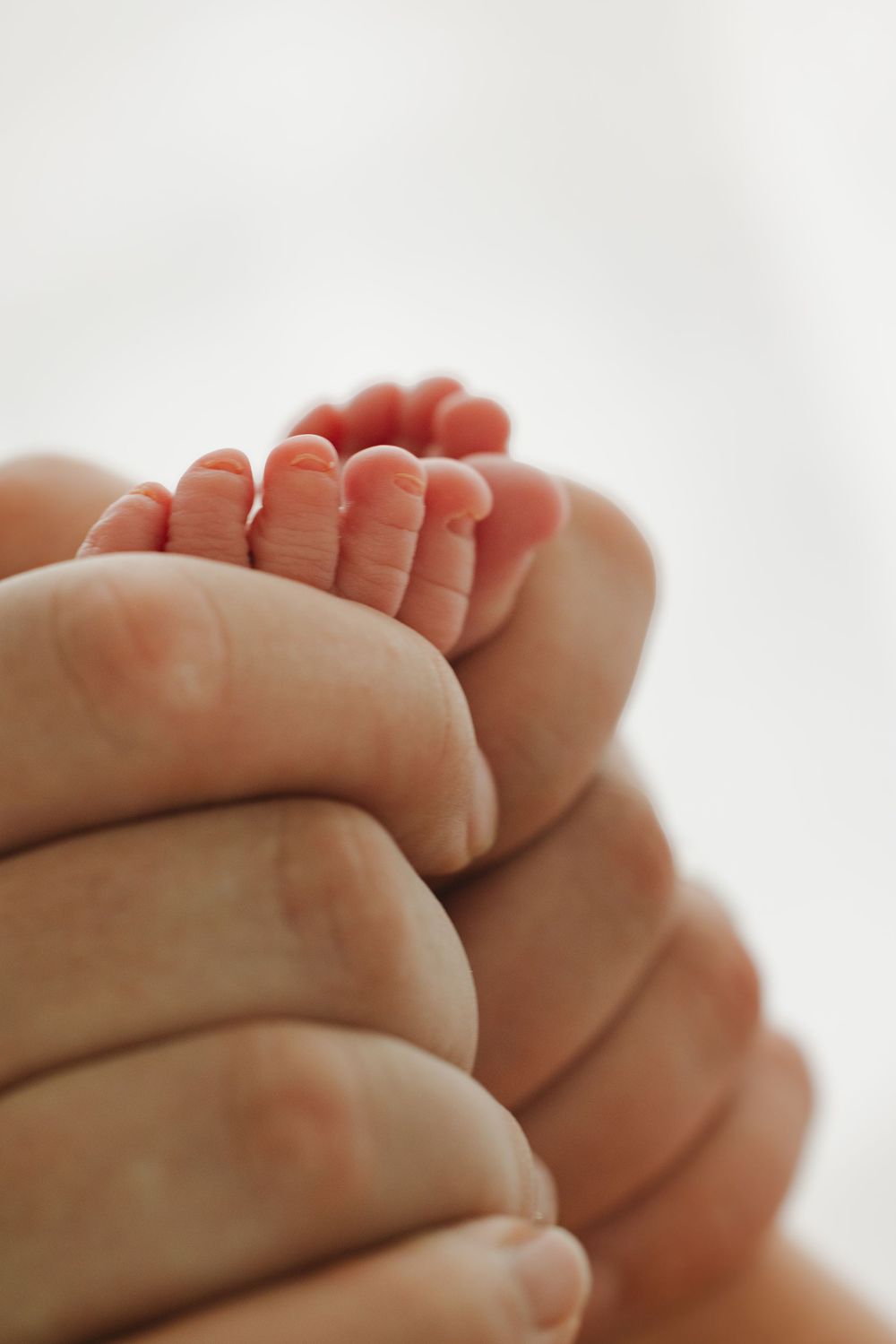 Close-up photo of tiny baby feet with soft pink toes against a white background.