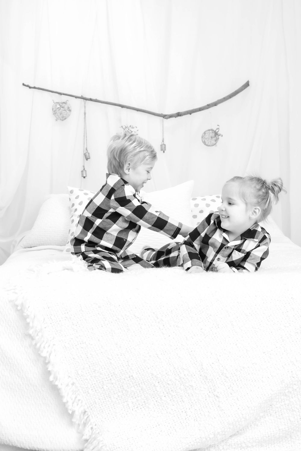 Minis Photo Holiday Sessions in edmonton alberta