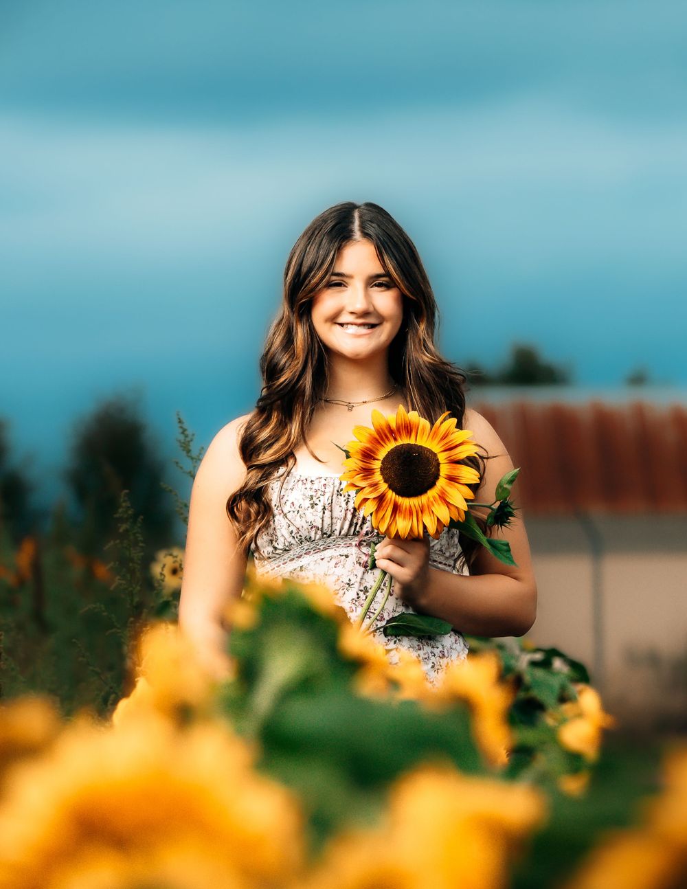 Dreamy summer portrait with sunflowers in a field under blue skies.