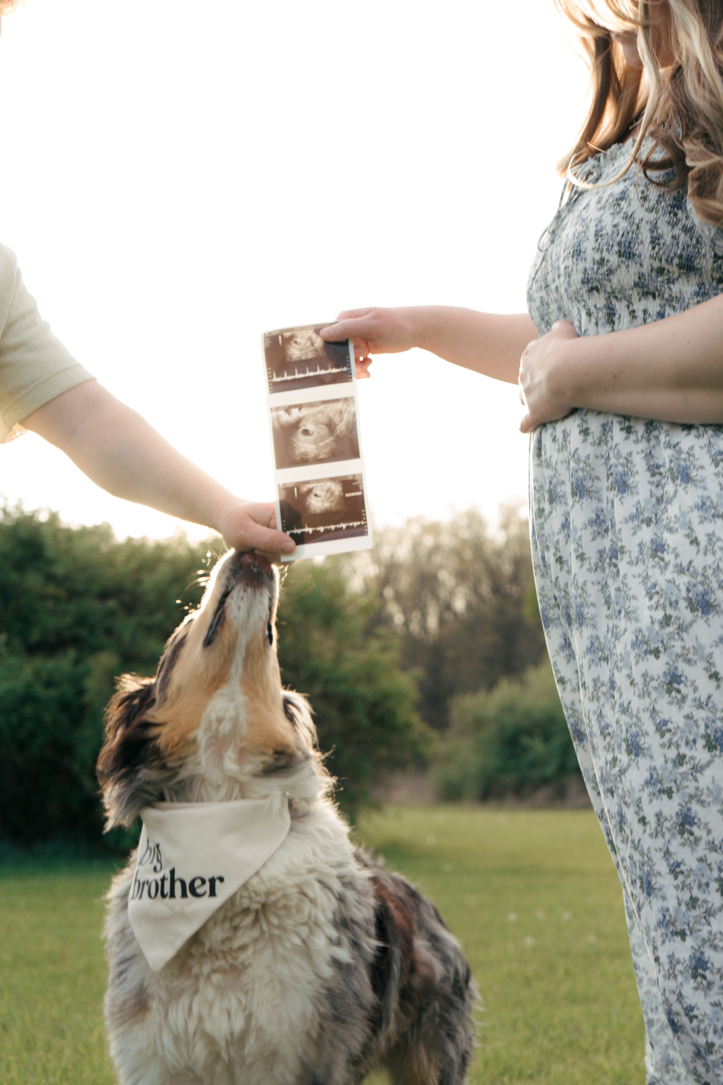 baby and dog