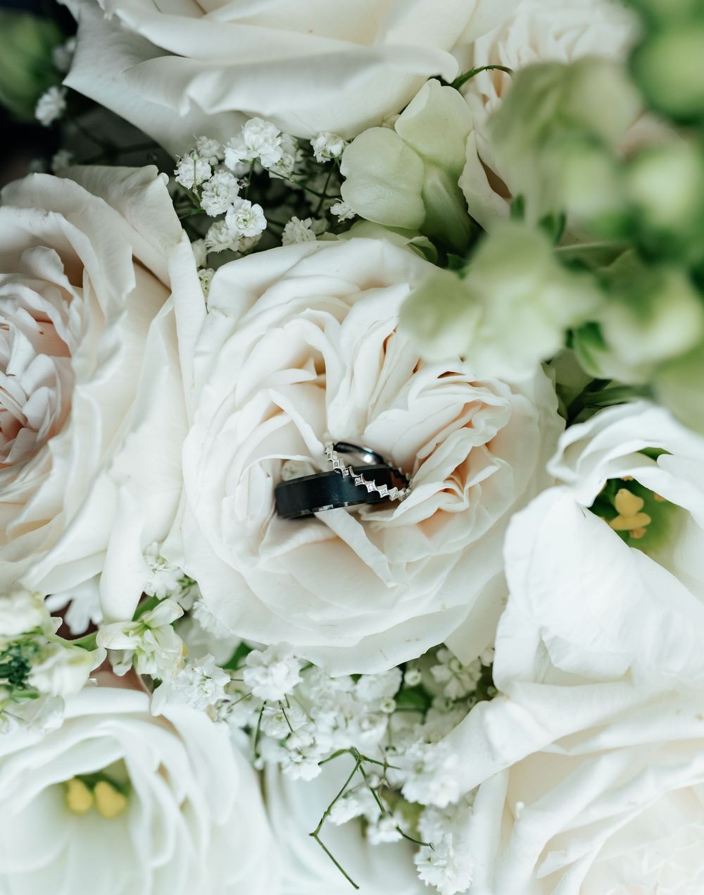 A small dark insect rests on the petals of a cream white garden rose in a bridal bouquet with baby's breath and soft green blooms.