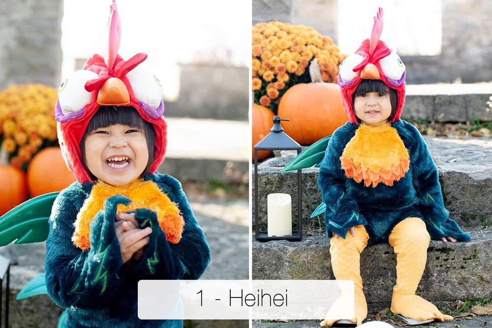 Smiling toddler in a Heihei rooster costume with red comb and orange feathers poses among pumpkins and on stone steps beside a candle.